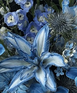 Close-up detail of dyed blue lilies with blue delphinium, gerbera, eryngium, blue star flowers, silver mist foliage, and black wrapping
