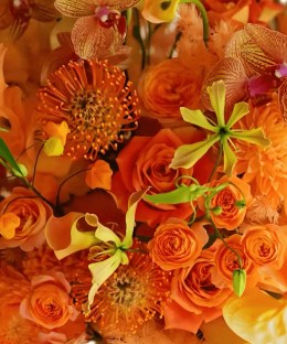 Close-up of orange anthurium, bird of paradise, pincushion protea, roses, orchids, ranunculus, berries, and curling greens