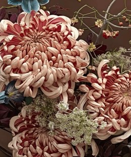 Close-up of dusty rose chrysanthemums with midnight-blue iris, berries, white lace flowers, and dark autumn foliage