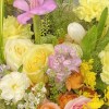 Close-up detail of yellow garden roses, orange spray roses, purple stock, pink freesia, oncidium, blue tweedia, and pale delphinium