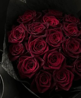 Close-up of dark red rose petals against black bouquet wrapping