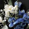 Close-up detail of white tulips and dyed blue marbled tulips with delicate white flowering branches in black wrapping