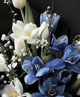 Close-up detail of white tulips and dyed blue marbled tulips with delicate white flowering branches in black wrapping