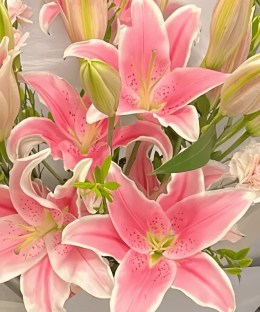 Close-up of pink Oriental lilies, peach carnations, green lily buds, and fresh foliage in grey wrapping