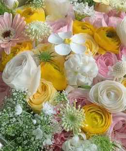 Close-up detail of pink yellow and white ranunculus with garden roses, gerbera, tulip, lisianthus, craspedia, and lace flowers