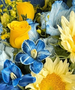 Close-up of cream-yellow sunflowers, blue-white gladiolus, blue and yellow roses, blue delphinium and yellow oncidium