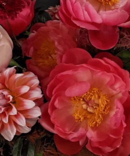 Close-up of coral peonies, blush garden roses, pink-orange dahlias, scabiosa, dark carnations, and burgundy foliage in a basket