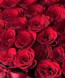 Close-up of crimson rose heads and red-black ribbon styling