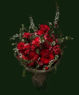 Crimson roses with airy branches, pale accents, and dark textured foliage