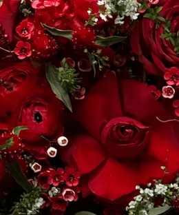 Close-up of crimson roses and delicate contrasting floral texture