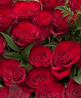 Close-up of red rose blooms and relaxed leafy greenery
