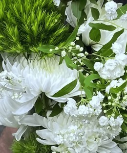 Close-up of moss-green Green Trick dianthus, white mums, baby's breath, and foliage