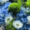 Close-up detail of blue hydrangea and dyed lisianthus with Green Trick dianthus, green anthurium, blue star flowers, and airy grass