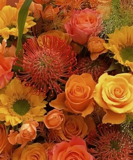 Close-up of sunflowers, yellow roses, orange roses in the Golden Fire Sunflower & Pincushion protea Bouquet