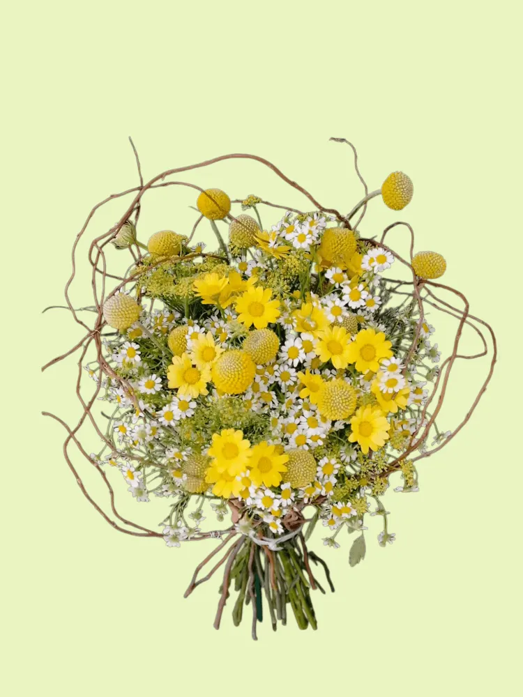 Full yellow craspedia and daisies with German chamomile, Queen Anne's lace, and curling willow branches