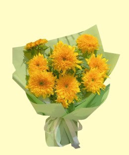Full plush double Teddy sunflowers with golden ruffled petals and fresh green wrapping