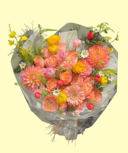 Full peach dahlias, grapefruit garden roses, blush gerbera, yellow ranunculus, white daisies and red gomphrena