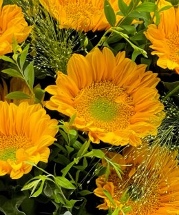 Close-up of classic yellow sunflowers, yellow oncidium, fountain grass and fresh green foliage in textured green wrapping