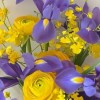 Close-up of deep-purple irises, bright-yellow ranunculus and yellow oncidium in lavender and white wrapping