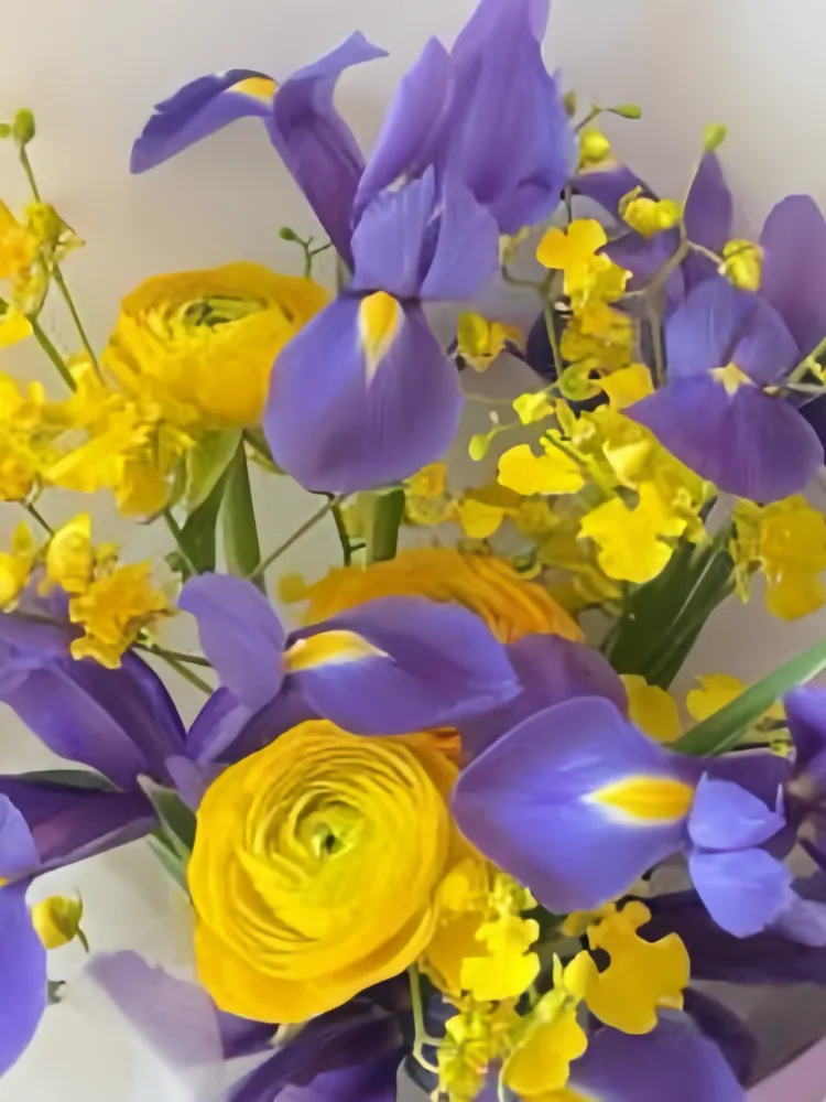 Close-up of deep-purple irises, bright-yellow ranunculus and yellow oncidium in lavender and white wrapping