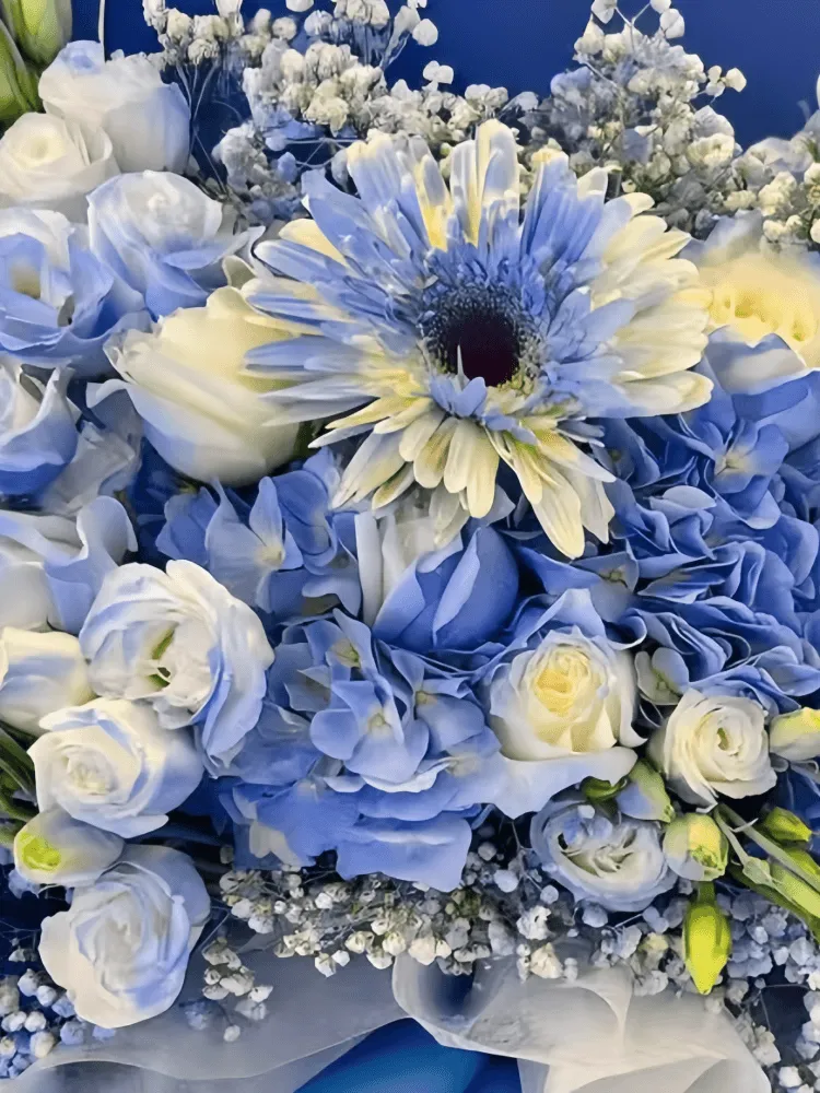 Close-up detail of gradient blue roses, blue hydrangea, blue-white gerbera, lisianthus, baby's breath, and blue ping-pong chrysanthemums