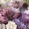 Close-up of lavender phalaenopsis orchids, striped dahlias, hydrangea, garden roses, chrysanthemums, and dark purple accents