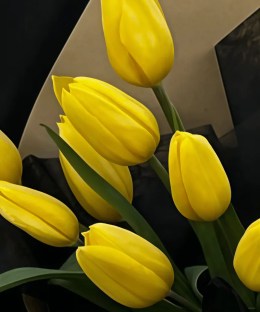 Close-up of nine lemon-yellow tulips with green leaves in black and kraft wrapping