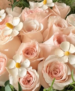Close-up of pale pink rose blooms and delicate garden-style texture