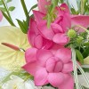 Close-up detail of pink lotus blooms and buds with pale anthurium, white lily, lilac scabiosa, and flowing grasses