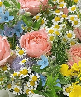 Close-up detail of pink garden roses with chamomile, blue tweedia, yellow butterfly ranunculus, purple scabiosa, and airy grass