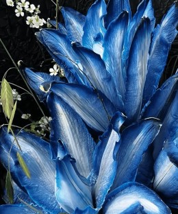 Close-up detail of cobalt and ice-white dyed Oriental lilies with white flowering branches, dark fern, and black textured wrapping