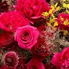 Close-up of fuchsia peonies, red roses, and deep burgundy dahlias in the Midnight Peony & Dahlia Bouquet