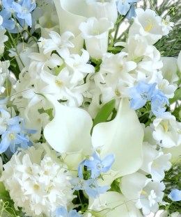 Close-up detail of white calla lilies, white campanula and freesia, pale-blue delphinium, and fine fountain grass