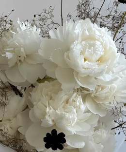 Close-up of white peonies, near-black cosmos, smoky cotinus, and fine dark branches in graphic white wrapping