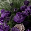 Close-up detail of deep-purple lisianthus with one grey-blush Manta rose, airy asparagus fern, and white sculptural wrapping