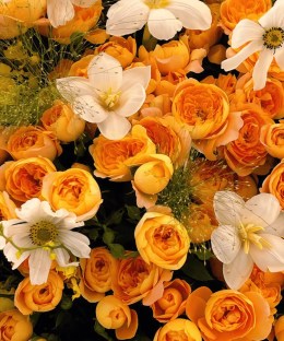 Close-up of orange spray roses, white cosmos, white seasonal bulb flowers, yellow oncidium and misty green grass