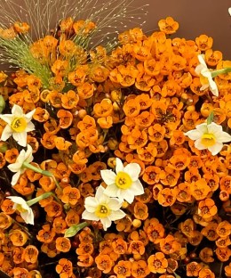 Close-up of amber like waxflower, white narcissus or paperwhites, ornamental fountain grass in the Orange Waxflower & Narcissus Bouquet