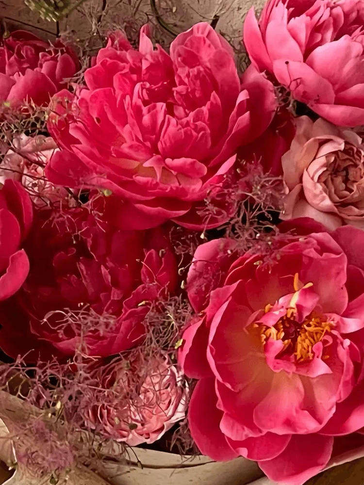 Close-up of pink peonies, dusty blush roses, purple allium-like spherical flowers in the Peony Fairy Bouquet