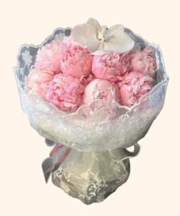 Full pink peonies, one white phalaenopsis orchid, embroidered lace mesh, and pale grey-blue wrapping