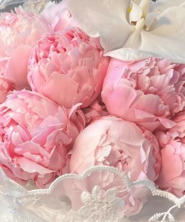 Close-up of pink peonies, one white phalaenopsis orchid, embroidered lace mesh, and pale grey-blue wrapping