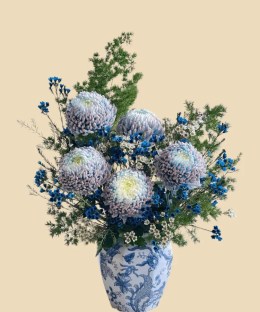 Full blue-white disbud chrysanthemums with dyed waxflower and pine-like greenery in a blue-and-white porcelain vase
