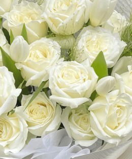 Close-up of fresh white rose blooms and delicate petal layers