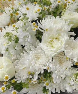 Close-up of white disbud and spray chrysanthemums with stock, lisianthus, and feverfew daisies