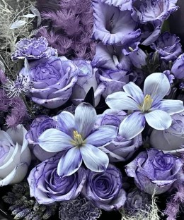 Close-up detail of gradient purple roses with striped freesia, purple carnations, grape hyacinth, pale line flowers, and silver mist foliage