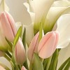 Close-up of blush-pink tulips, white calla lilies, natural green leaves, and pale mint wrapping