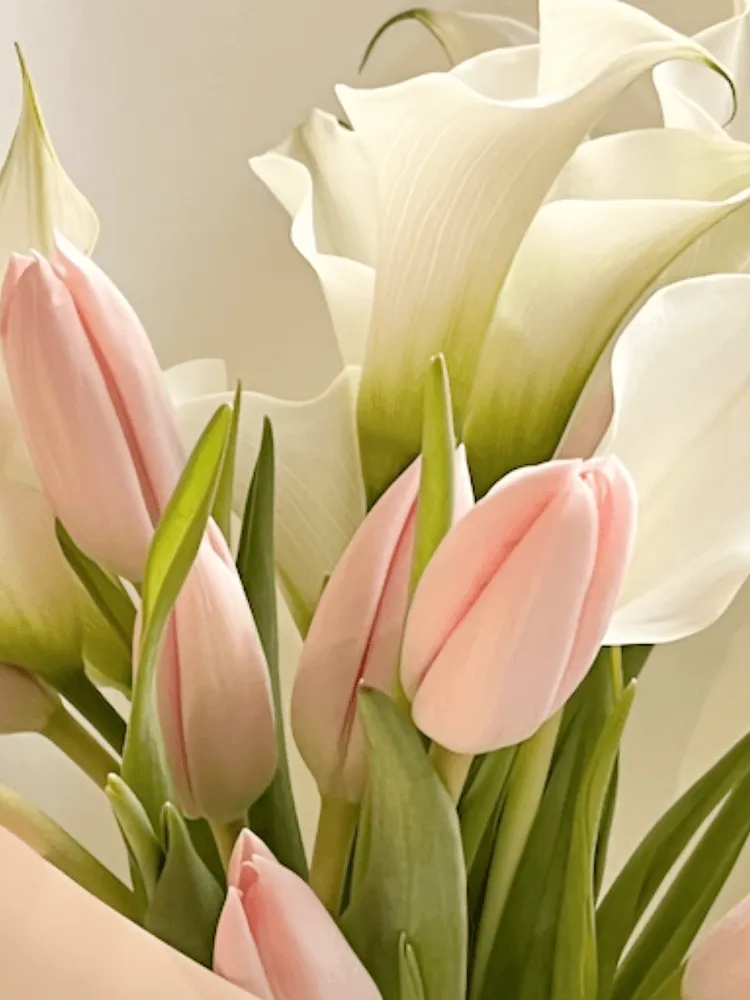 Close-up of blush-pink tulips, white calla lilies, natural green leaves, and pale mint wrapping