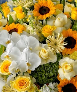 Close-up of sunflowers, white phalaenopsis orchids, cream calla lilies, yellow and ivory roses, green hydrangea and blue accents