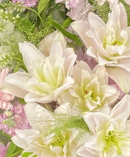 Close-up of blush double lilies, pink gerbera, pale delphinium, white tulip, purple flowers, and misty green grass