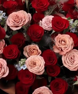 Close-up of red and blush pink roses in the mixed bouquet.