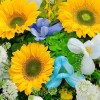 Close-up of yellow sunflowers, white anthurium, blue-white tulips, green hydrangea, white delphinium and yellow oncidium